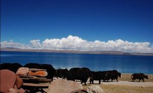 Lake Manasarovar